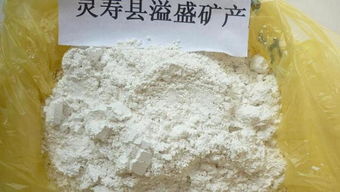 矿产品粉末辨析 重钙粉、轻钙粉、方解石粉、双飞粉与碳酸钙粉的高清图鉴与用途解析
